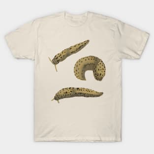 Leopard Slugs T-Shirt